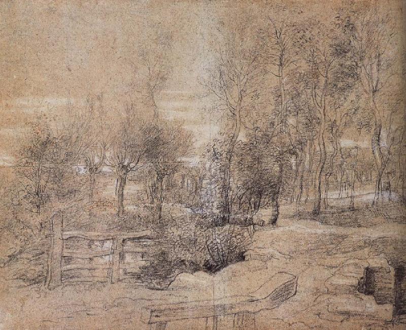 Forest landscape, Peter Paul Rubens